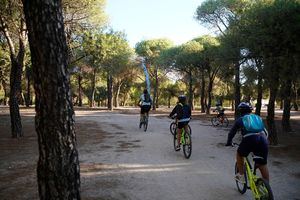 Las Escuelas Deportivas de exterior y las actividades deportivas al aire libre de Las Rozas retoman su actividad