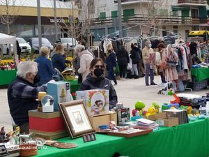 Casi 2.400 personas visitaron el sábado el Rastro Gigante de Collado Villalba en su reapertura
 