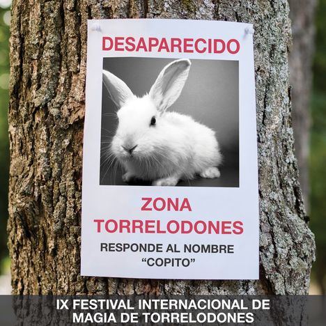 Torrelodones acoge una nueva edición del Festival Internacional de Magia