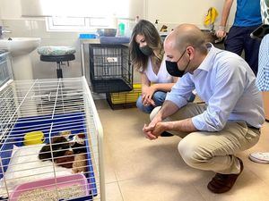 Majadahonda tramita 127 adopciones de perros y gatos en un año a través del CICAM