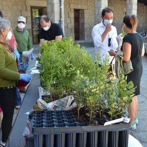 Guadarrama celebrará el Día Mundial de Medio Ambiente con reparto de árboles y una jornada de plogging