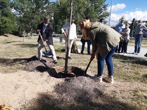 Collado Villalba celebra el Día Mundial del Medio Ambiente firmando un convenio con Bosques Sin Fronteras