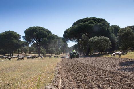 Majadahonda activa el Plan contra Incendios en el Monte del Pilar y renueva el servicio de vigilancia