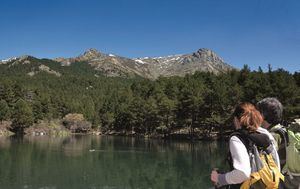 La Comunidad de Madrid y ADESGAM desarrollan un proyecto pionero para disminuir la huella de carbono en la Sierra de Guadarrama