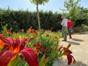 Majadahonda incrementa en medio millón de euros el contrato de mantenimiento de zonas verdes