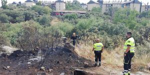 Sofocado con rapidez un conato de incendio en el Coto de las Suertes de Collado Villalba