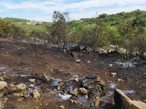 Sofocado con rapidez un conato de incendio en el Coto de las Suertes de Collado Villalba