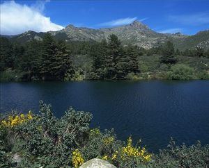 Los Centros de Educación Ambiental de la región ofrecen más de 200 actividades gratuitas este verano