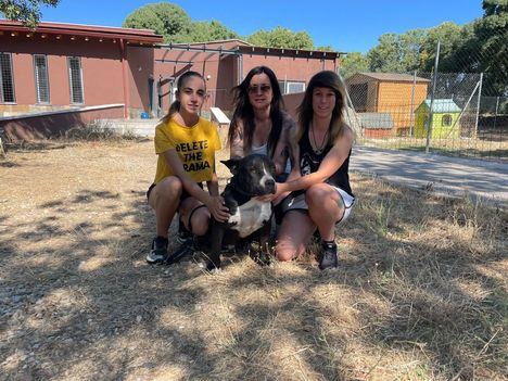 El Centro de Protección Animal de Guadarrama será gestionado por la Asociación La Huella de Wonder