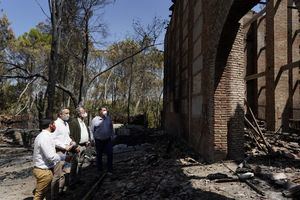 La Comunidad agradece el esfuerzo de los profesionales encargados de la extinción del incendio en Batres