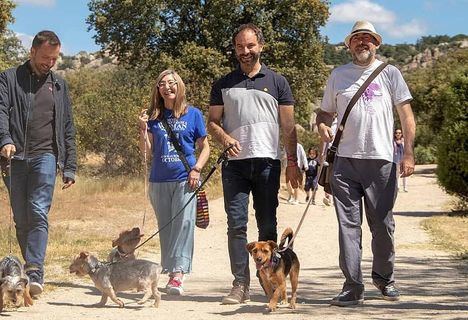 El PSOE quiere que Torrelodones sea una ciudad amiga de los animales