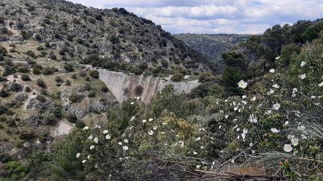 La Comunidad de Madrid declara Bien de Interés Cultural, en la categoría de Paisaje Cultural, la Presa de El Gasco y el Canal de Guadarrama