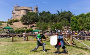 La Comunidad invita a conocer el castillo de Manzanares El Real con exhibiciones de combates medievales