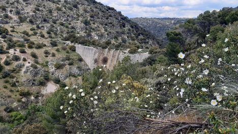 El PSOE de Torrelodones reclama una mejora de la seguridad en el entorno de la Presa del Gasco