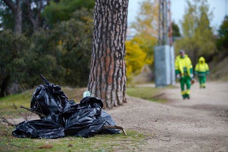 Un dispositivo especial de limpieza en la Dehesa de Navalcarbón de Las Rozas retira cinco toneladas de basura