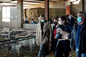 Díaz Ayuso exige al Gobierno central soluciones a ganaderos y agricultores ante su situación “critica”