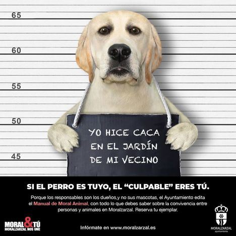 Los derechos y deberes de mascotas y dueños, en la guía ‘Moral Animal’ de Moralzarzal