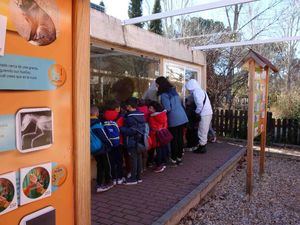 Unos 8.400 escolares visitaron el Hospital de Fauna Salvaje de GREFA de Majadahonda en 2021
 