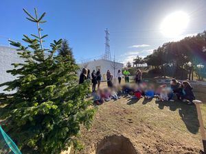 Majadahonda replanta en varias zonas verdes los abetos navideños del ‘Bosque de los Deseos’
 