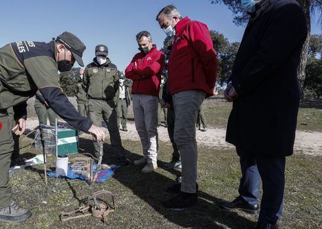 El Cuerpo de Agentes Forestales duplicó en 2021 la investigación de presuntos delitos ambientales