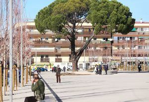 Este sábado, nueva edición del Rastro Gigante en la Plaza de Los Belgas de Collado Villalba