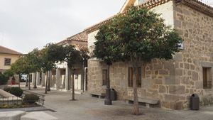 El Ayuntamiento de Torrelodones comienza a actuar sobre el arbolado del centro urbano