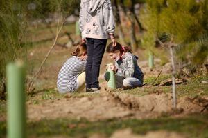 Los colegios de Las Rozas plantarán hasta abril, en colaboración con el Ayuntamiento, más de 2.000 árboles