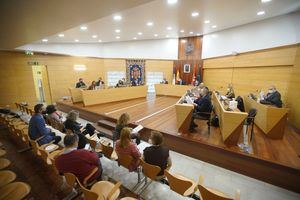 El Pleno de Las Rozas aprueba una declaración de condena a la invasión de Ucrania