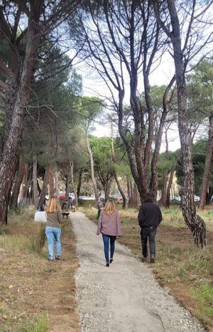 El Hospital El Escorial tendrá un nuevo acceso peatonal desde la parada de autobús de la M-600