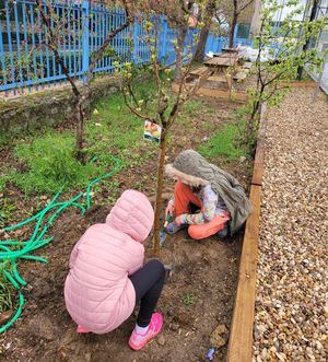 Galapagar se une a la campaña ‘Un Árbol por Europa’, impulsada por la Asociación Equipo Europa