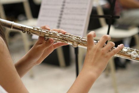 La Joven Orquesta sierra de Madrid (JOsM) convoca pruebas de acceso