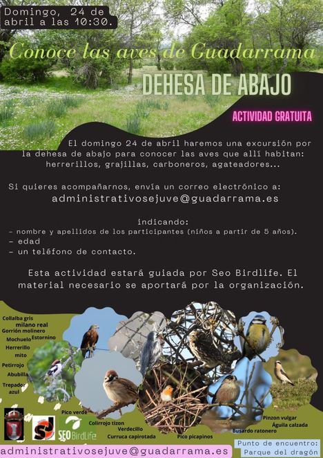 Una invitación para conocer las aves de la Dehesa de Abajo de Guadarrama