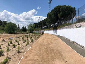 Finalizan las obras de adecuación del Cordel de Hoyo en Torrelodones