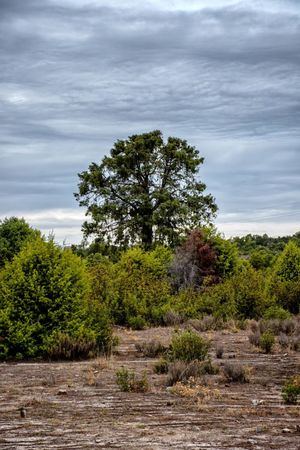 Hoyo de Manzanares se apunta a La Gran Semana de la Biodiversidad