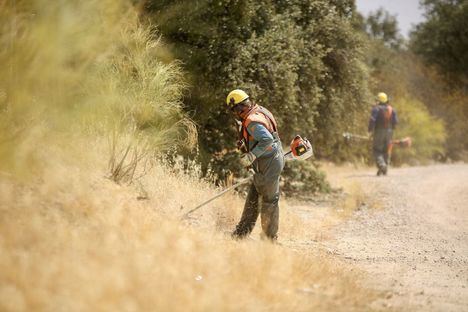Arranca en Las Rozas la campaña municipal de desbroces para minimizar el riesgo de incendios