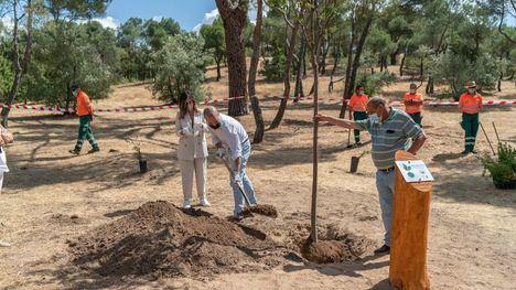 Majadahonda, galardonada por la FAO y la Arbor Day Foundation por su gestión medioambiental