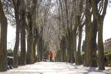 Las Rozas dará ayudas de 250 euros al alquiler para jóvenes, mayores, rentas bajas y desempleados