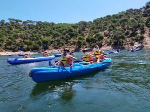 Estas vacaciones, disfruta con los Campamentos de Verano del Colegio Los Sauces Torrelodones