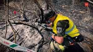 La campaña #STOPincendios apela a la respuesta de los ciudadanos ante la presencia de fuego