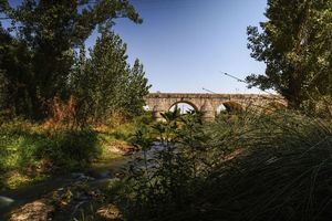 Más de dos millones de euros para intervenir en las cuencas fluviales de Las Rozas
 