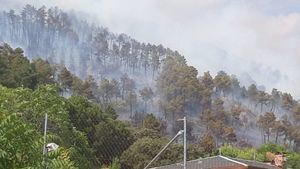 El SEPRONA se hace cargo de la investigación sobre las causas del incendio de Collado Mediano, que afecta a 60 hectáreas