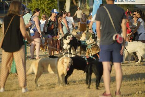 Las Rozas celebra el Día del Perro con un encuentro canino en El Lazarejo