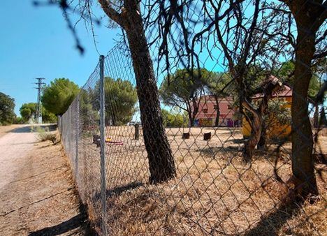 El PSOE de Las Rozas presenta alegaciones al reglamento de los nuevos huertos urbanos