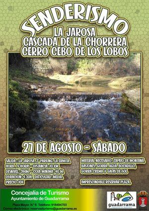 Guadarrama propone este sábado una ruta senderista para todos los públicos por el pinar de La Jarosa