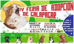 Galapagar acoge este sábado, 3 de septiembre, la IV Feria de la Adopción del municipio