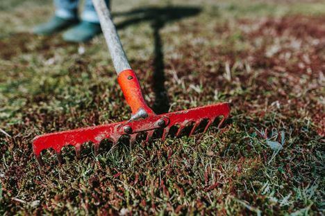 La Agencia de Colocación de Collado Villalba oferta cuatro plazas para ayudantes de jardinería de la empresa Valoriza