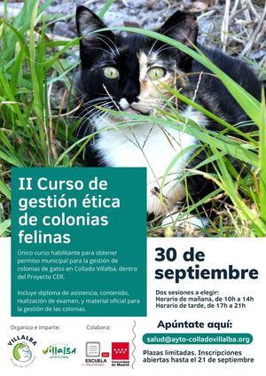 Collado Villalba convoca un nuevo curso para acceder al permiso para controlar colonias felinas