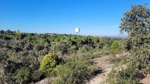 Admitido a trámite el recurso de Ecologistas contra el proyecto de Montegancedo en Pozuelo de Alarcón