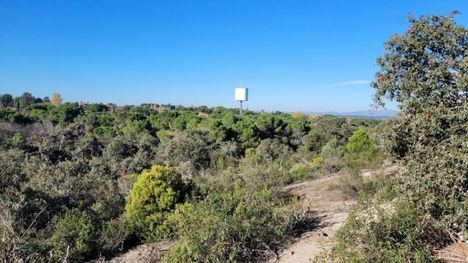 Admitido a trámite el recurso de Ecologistas contra el proyecto de Montegancedo en Pozuelo de Alarcón