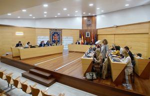 El Pleno de Las Rozas aprueba la adhesión a la Red de Atención a Mayores en Soledad no deseada